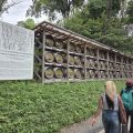 20260602_111308.jpg
