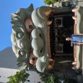 IMG_20260525_101932_763.jpg