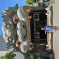 IMG_20260525_101934_606.jpg