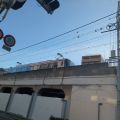 IMG_20260525_174546_671.jpg
