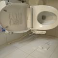 IMG_20260526_075011_666.jpg