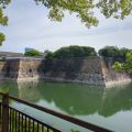 IMG_20260526_091915_996.jpg