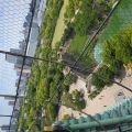 IMG_20260526_110510_368.jpg