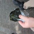 IMG_20260526_113610_460.jpg