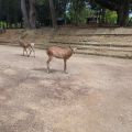 IMG_20260527_150802_173.jpg