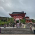IMG_20260528_061911_388.jpg
