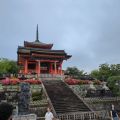 IMG_20260528_062247_937.jpg