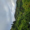 IMG_20260528_063148_187.jpg