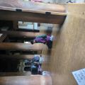 IMG_20260528_064802_145.jpg