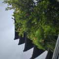 IMG_20260528_075028_697.jpg
