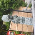 IMG_20260528_091731_536.jpg