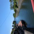IMG_20260529_140047_266.jpg