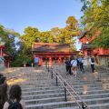 IMG_20260529_183403_052.jpg