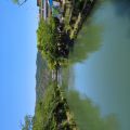 IMG_20260530_123417_785.jpg