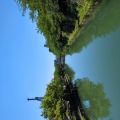 IMG_20260530_130044_291.jpg