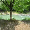IMG_20260531_111319_945.jpg