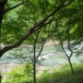 IMG_20260531_111804_678.jpg