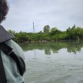 IMG_20260531_131125_738.jpg