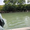 IMG_20260531_132121_429.jpg
