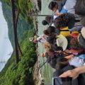 IMG_20260531_133628_548.jpg