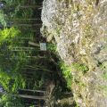 IMG_20260531_135508_916.jpg