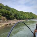 IMG_20260531_142943_598.jpg