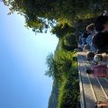 IMG_20260531_165336_767.jpg