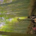 IMG_20260531_165714_584.jpg