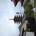 IMG_20260604_065430_205.jpg