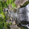 IMG_20260604_074914_715.jpg