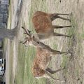IMG_3804.HEIC