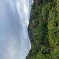 IMG_3831.HEIC