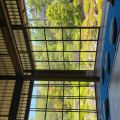 IMG_3910.HEIC