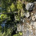 IMG_3912.HEIC