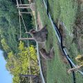IMG_3965.HEIC