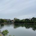 IMG_4778.HEIC