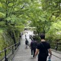 IMG_4845.HEIC