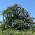 IMG_4943.HEIC