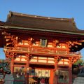 IMG_4953.HEIC