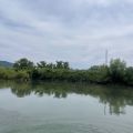 IMG_5010.HEIC