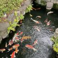 IMG_5089.HEIC