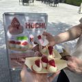 IMG_9279.HEIC
